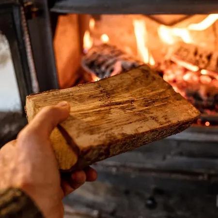 L'oree Du Bois Aux Portes De Montauban Apartament Albias