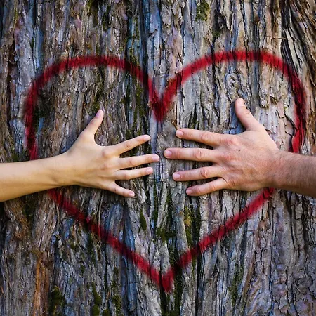 L'oree Du Bois Aux Portes De Montauban Apartament