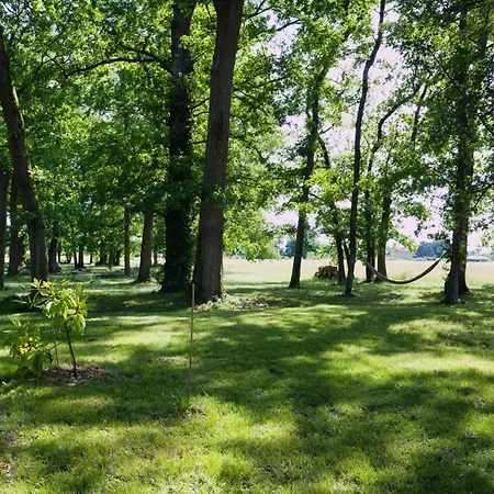 Apartament L'oree Du Bois Aux Portes De Montauban