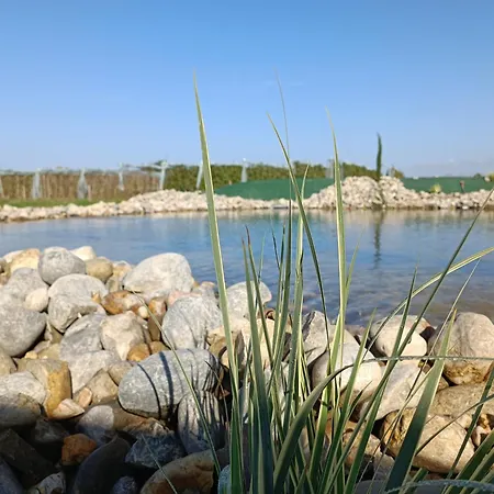 L'oree Du Bois Aux Portes De Montauban Apartament