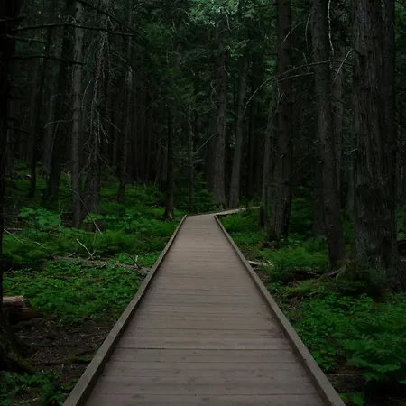 L'oree Du Bois Aux Portes De Montauban * Albias