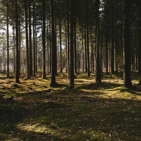 Lägenhet L'oree Du Bois Aux Portes De Montauban Albias