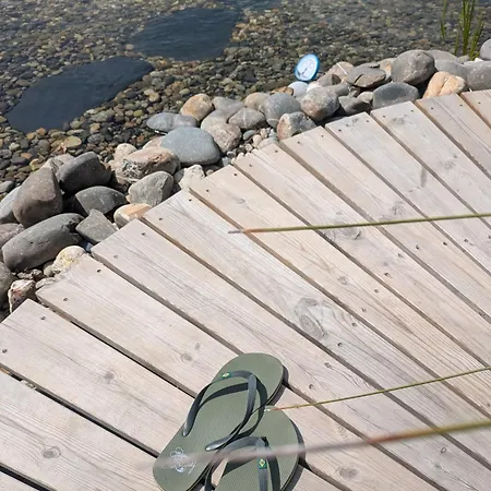 L'oree Du Bois Aux Portes De Montauban Lägenhet *