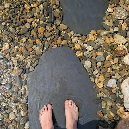 L'oree Du Bois Aux Portes De Montauban Albias