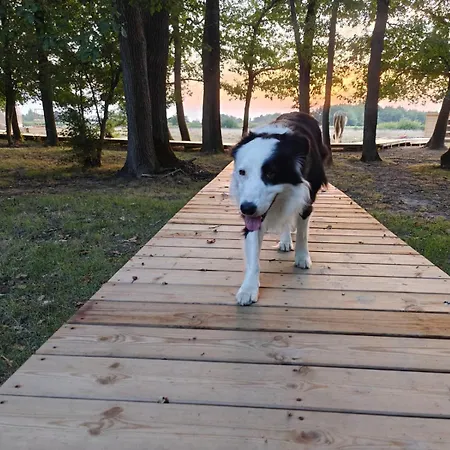 アパート L'oree Du Bois Aux Portes De Montauban *