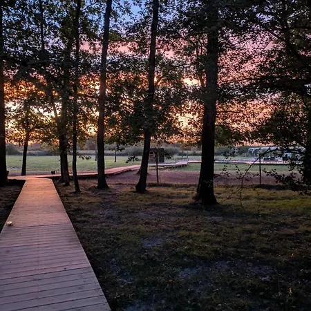 L'oree Du Bois Aux Portes De Montauban Lägenhet Albias