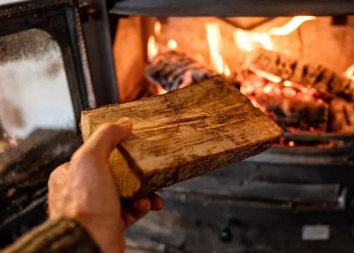 L'oree Du Bois Aux Portes De Montauban Lägenhet Albias