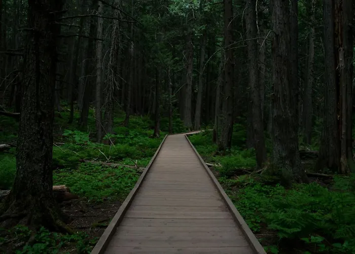 L'oree Du Bois Aux Portes De Montauban * Albias