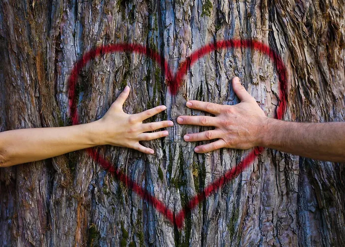 L'oree Du Bois Aux Portes De Montauban Lägenhet