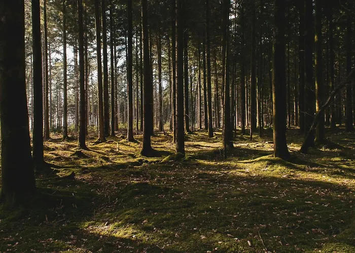 Apartamento L'oree Du Bois Aux Portes De Montauban Albias