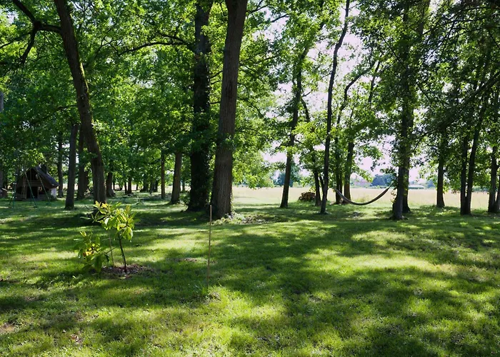 Apartamento L'oree Du Bois Aux Portes De Montauban