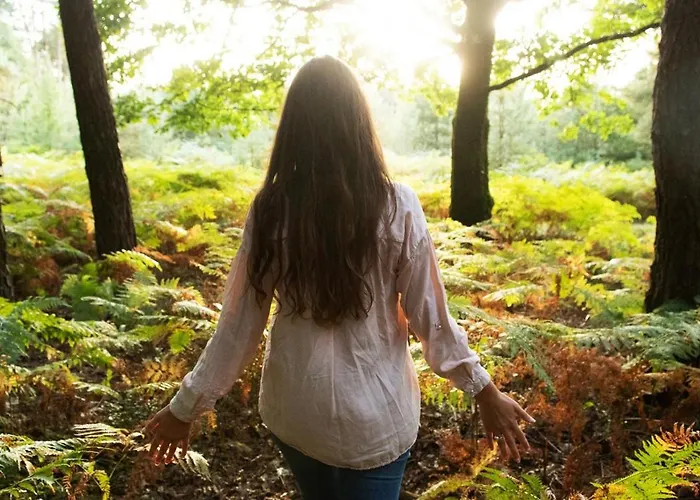 L'oree Du Bois Aux Portes De Montauban Apartamento Albias