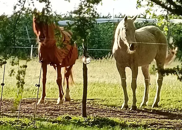 L'oree Du Bois Aux Portes De Montauban *