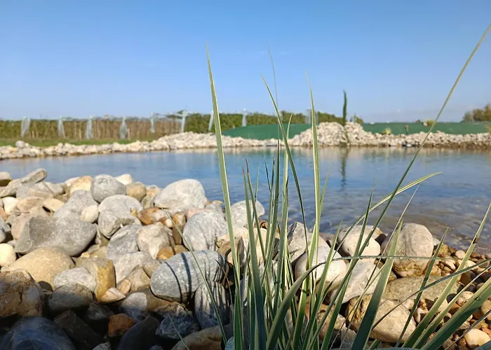 L'oree Du Bois Aux Portes De Montauban Lägenhet