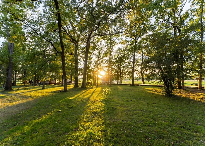 Apartamento L'oree Du Bois Aux Portes De Montauban *