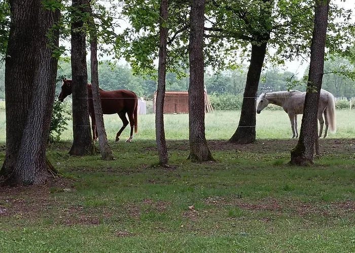 アパート L'oree Du Bois Aux Portes De Montauban