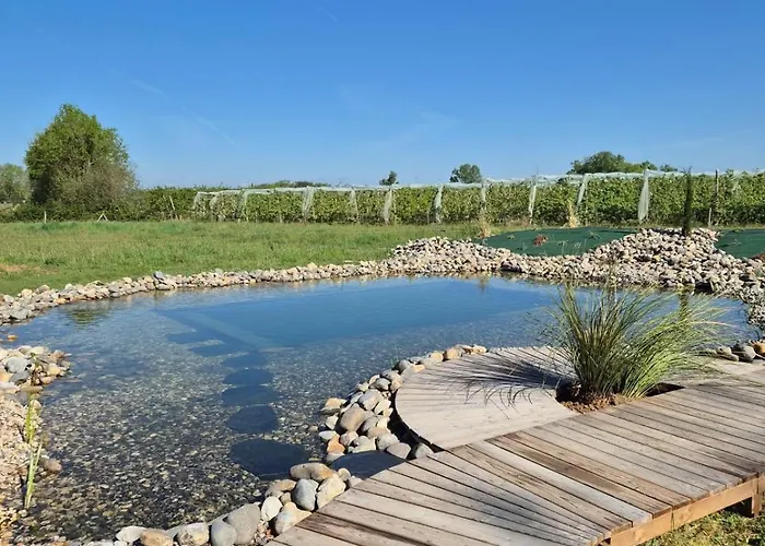 L'oree Du Bois Aux Portes De Montauban