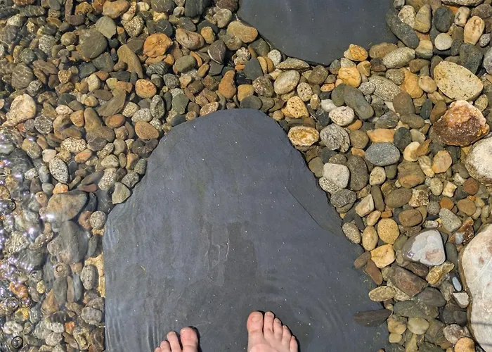 L'oree Du Bois Aux Portes De Montauban Albias