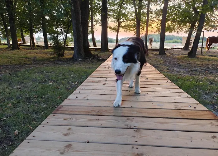 アパート L'oree Du Bois Aux Portes De Montauban *