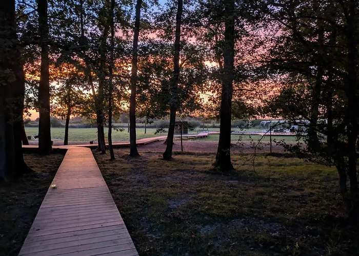 L'oree Du Bois Aux Portes De Montauban アパート Albias