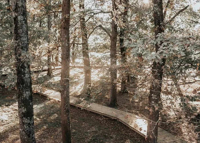 L'oree Du Bois Aux Portes De Montauban